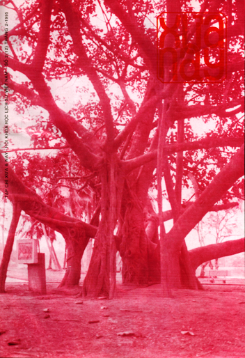 Tạp chí Xưa & Nay